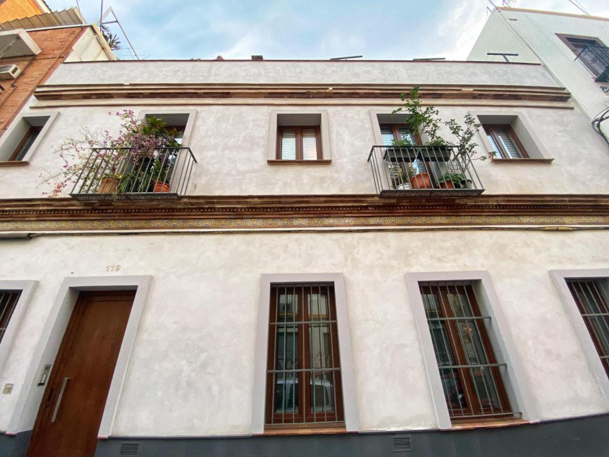 Diseno Triana
