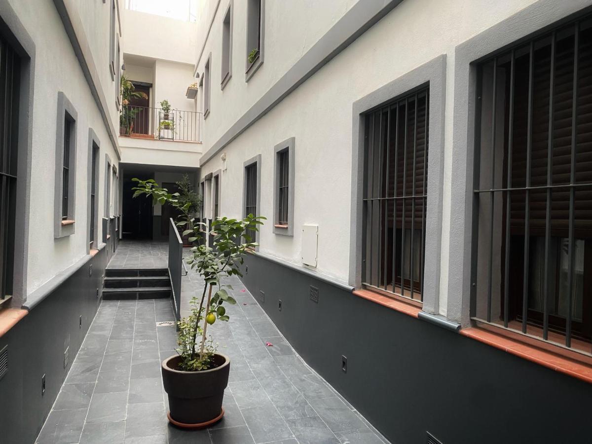Diseno Triana *